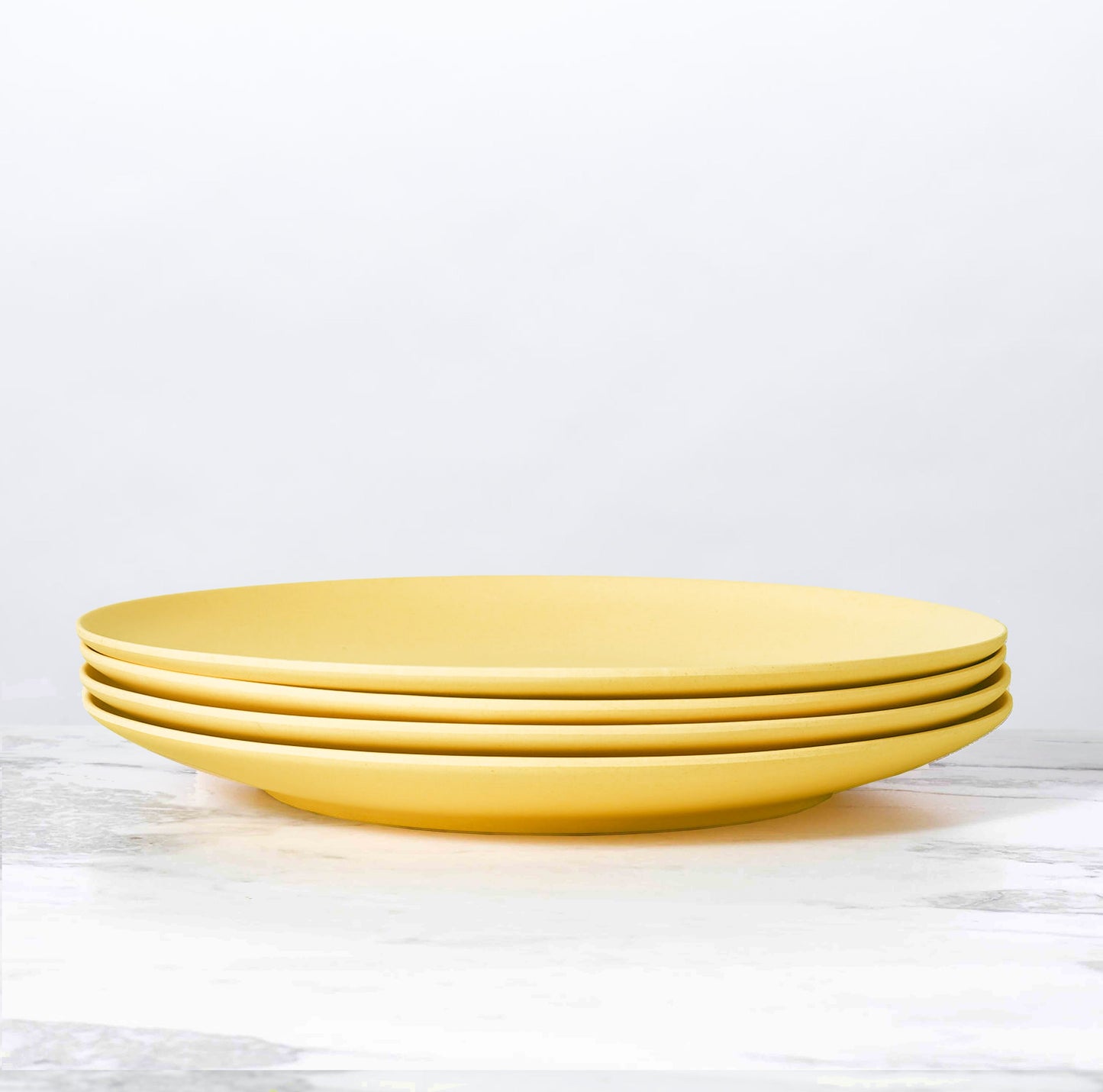 Palette Bamboo Dinner Plate